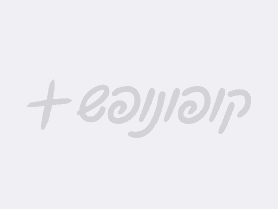 סכך לסוכה 