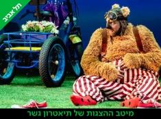 פוד הדב הצגה