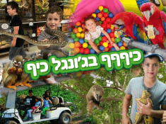 ג'ונגל כיף ראשי