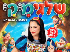 שלגימיקי כרטיס בהנחה