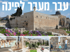 מרכז דוידסון ראשי