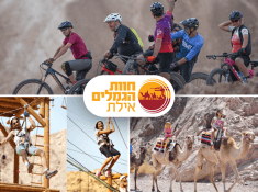 רוכבי המדבר ראשי