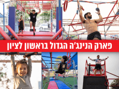 סווינג נינג'ה