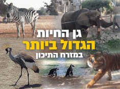 ספארי רמת גן
