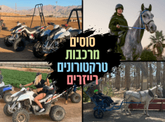טיולים באילת