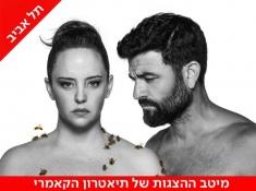 הצגה מדיאה