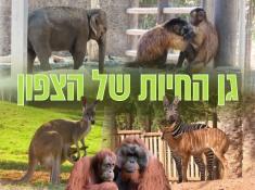 גן החיות של הצפון