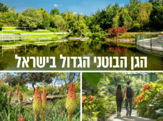 הגן הבוטני בירושלים