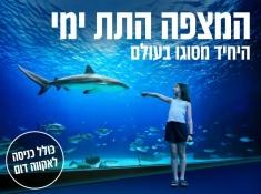 מצפה תת ימי אילת