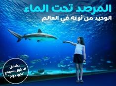 المرصد تحت الماء מצפה תת ימי