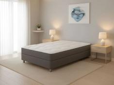 מיטה אריאנה בצבע אפור