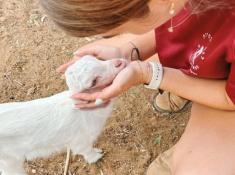 פינת ליטוף בגבעת חיים איחוד