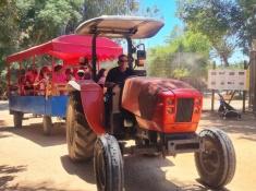 טיולים בלגעת בחיות 