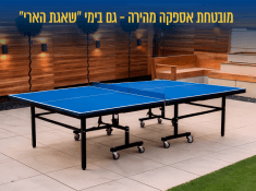 מבצע שאגת הארי