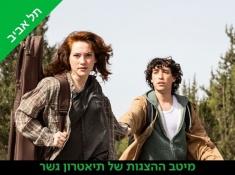 מישהו לרוץ איתו תיאטרון גשר בהנחה