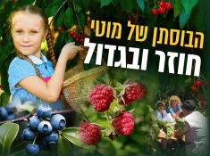 הבוסתן של סבא מוטי