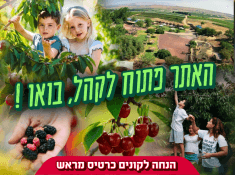 קטיף דובדבנים בעין זיוון כרטיסים מוזלים