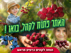 קטיף דובדבנים באלרום 2026 כרטיסים מוזלים