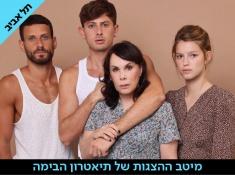 את שאהבה נפשי הצגה