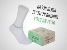 קרסוליות
