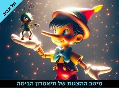 כרטיס בהנחה