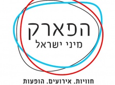 מיני ישראל במבצע