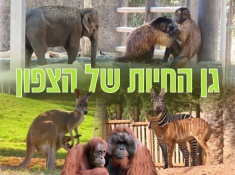 גן החיות של הצפון