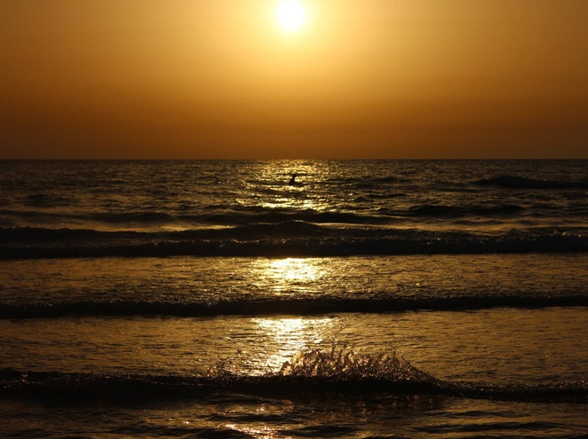 חוף ביאנקיני ים המלח