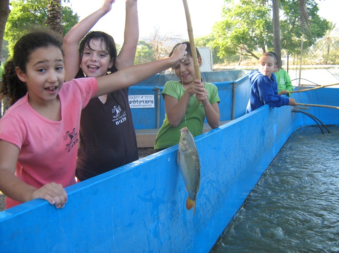 בריכת דגים לילדים בדג בכפר