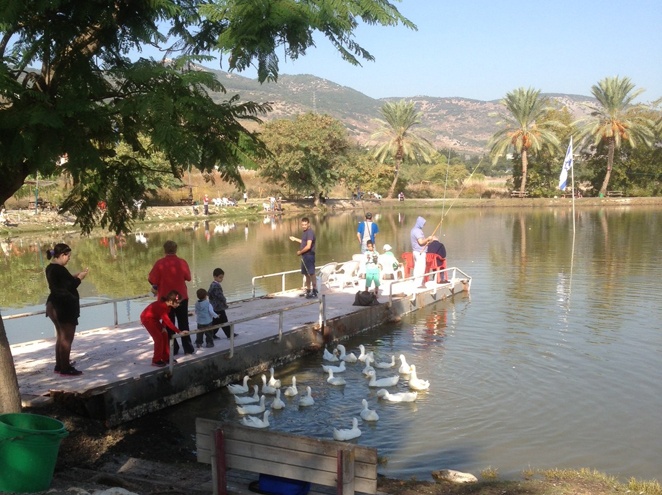 פארק הדייג דג בכפר יוקנעם